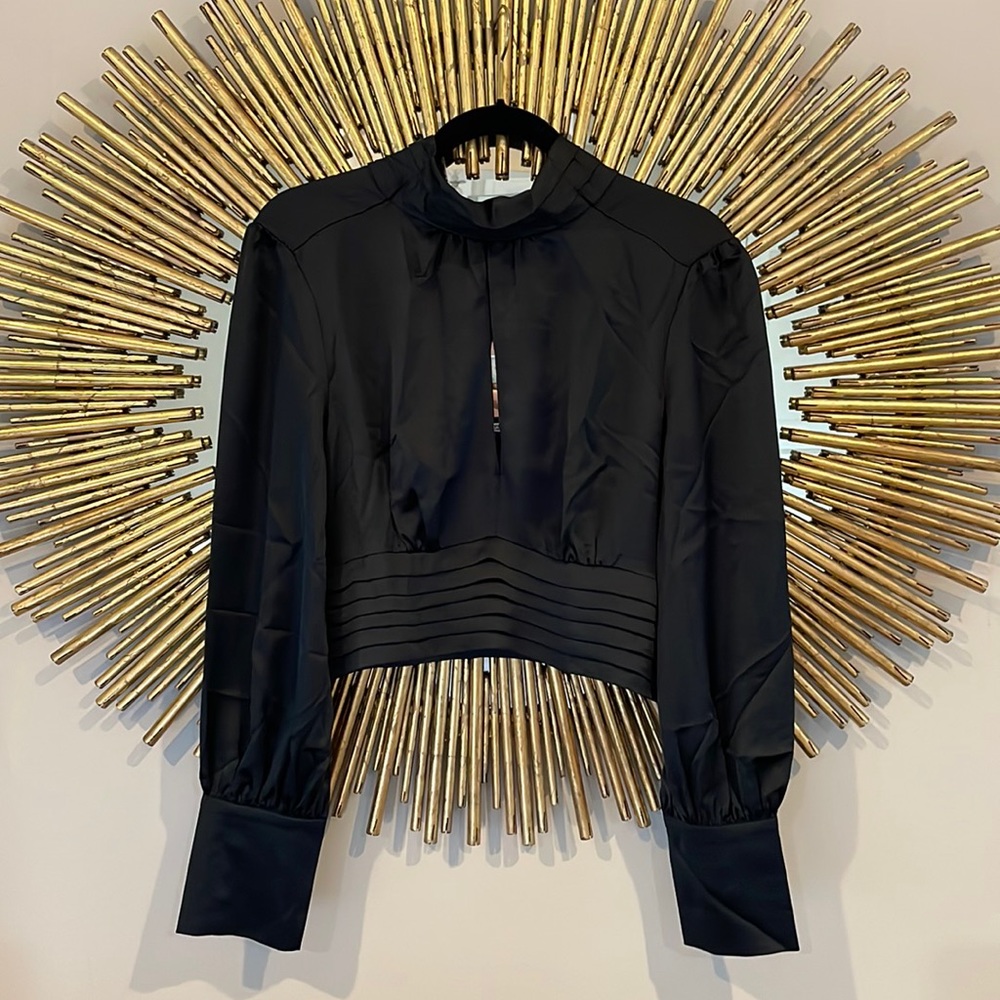 Amanda Uprichard Black Silky Turtleneck Cropped Blouse